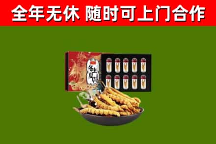宁城县回收冬虫夏草价格