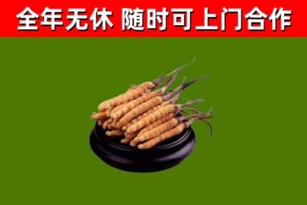 宁城县烟酒回收冬虫夏草.jpg